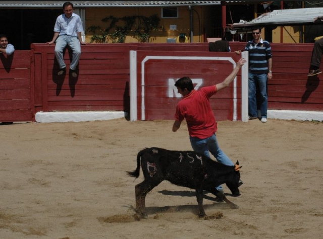 lo pasareis en grande